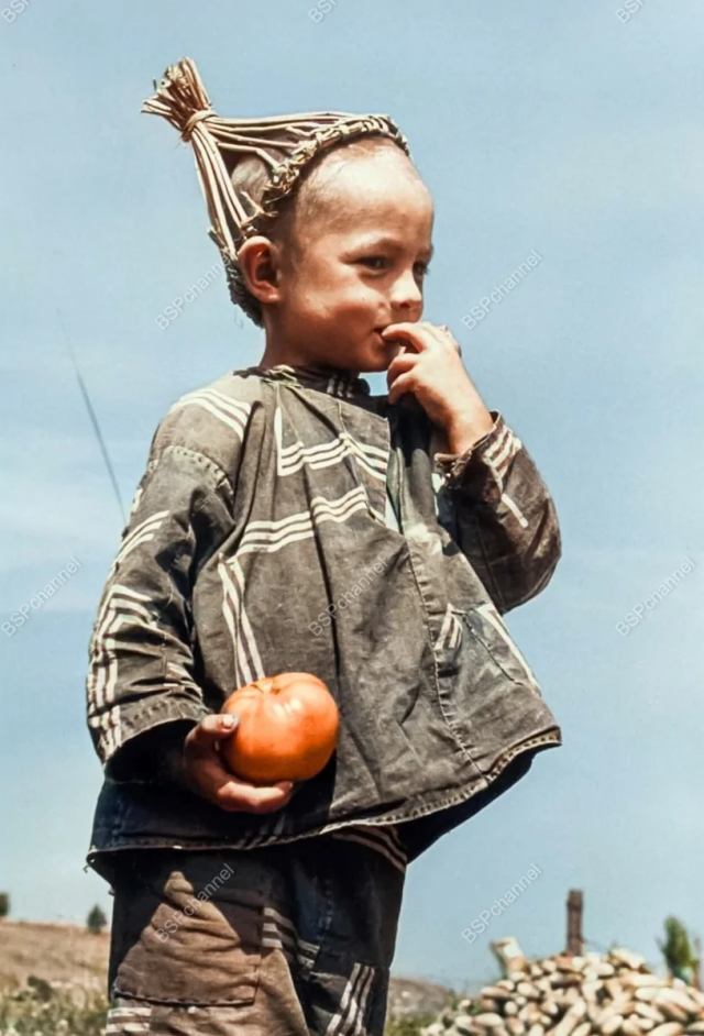 Мальчик держит помидор в колхозном поле. Украинская ССР, 1947 год.
