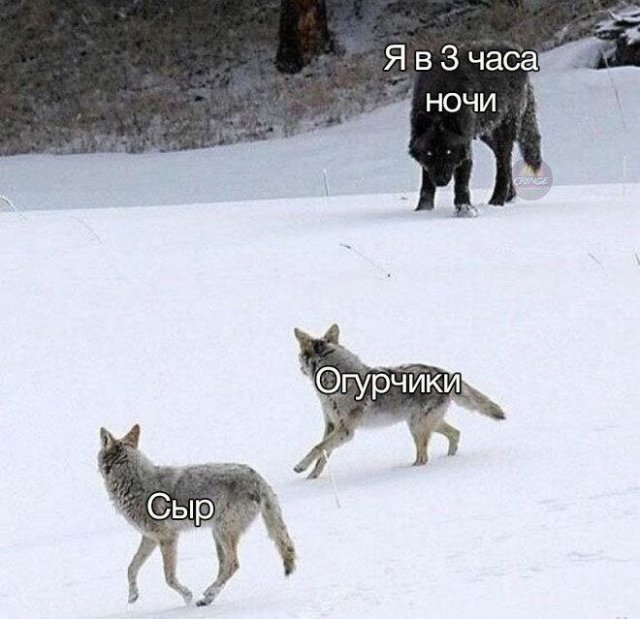 Смешные картинки - 10.10.2025