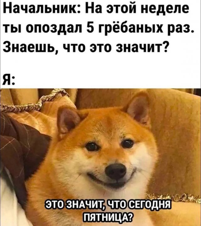 Смешные картинки - 10.10.2025