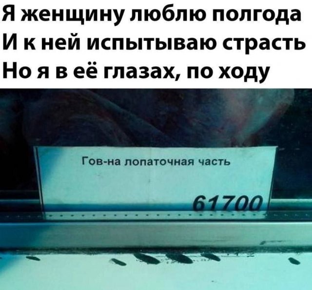 Смешные картинки - 10.10.2025