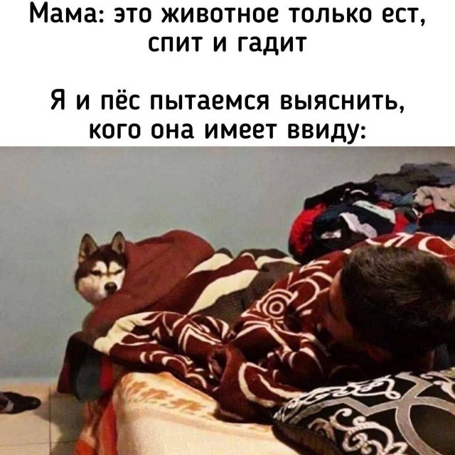 Смешные мемы - 10.10.2025