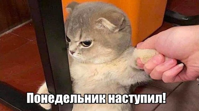 Трынделка - 12.10.2025