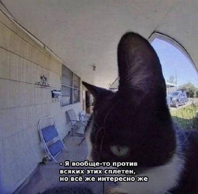 Смешные мемы - 13.10.2025