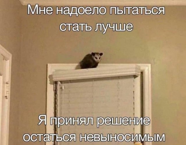 Смешные мемы - 13.10.2025