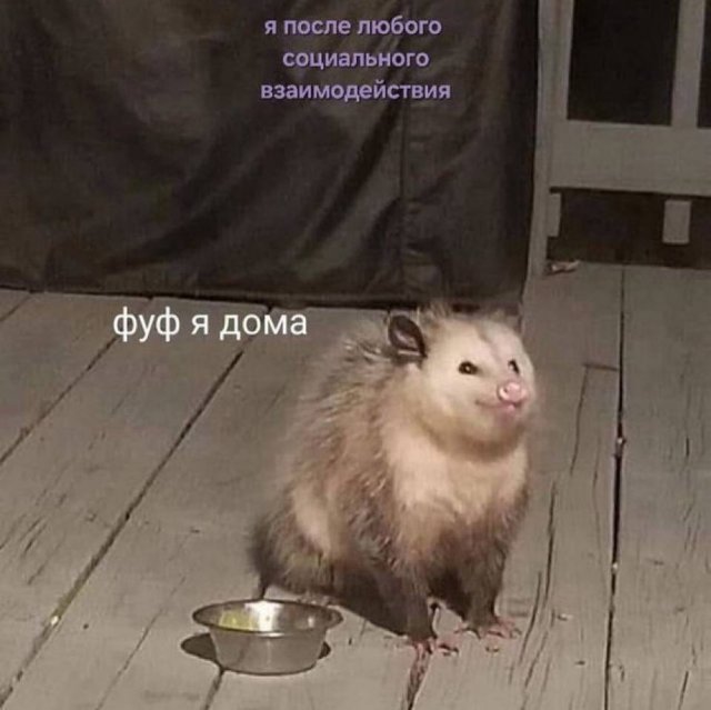 Смешные мемы - 13.10.2025