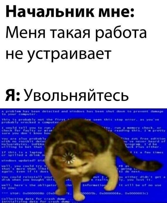 Смешные мемы - 13.10.2025