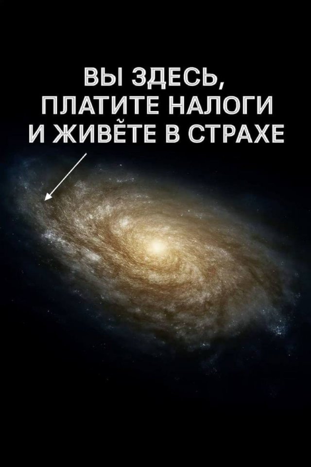 Смешные мемы - 13.10.2025