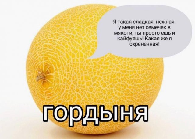 Смешные мемы - 13.10.2025