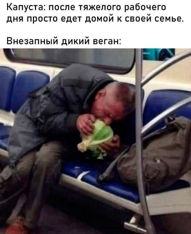 Лучшие шутки и мемы из Сети - 13.10.2025