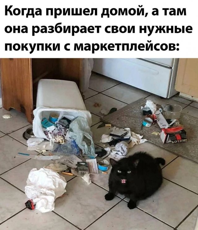 Лучшие шутки и мемы из Сети - 13.10.2025