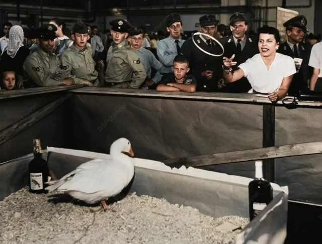 Американцы из ВВС США празднуют Октоберфест в Нойбиберге, Германия, 1957 год. Американцы из ВВС США празднуют Октоберфест в Нойбиберге, Германия, 1957 год.