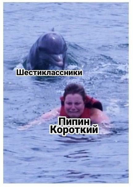 Лучшие шутки и мемы из Сети - 14.10.2025