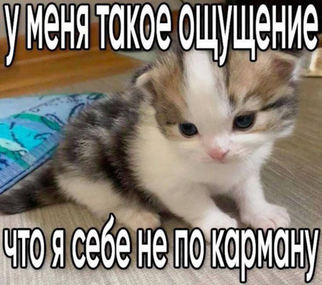 Лучшие шутки и мемы из Сети - 14.10.2025