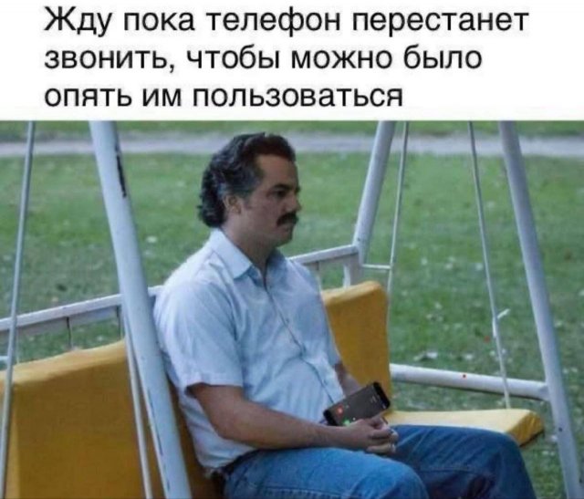 Лучшие шутки и мемы из Сети - 14.10.2025
