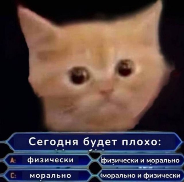 Лучшие шутки и мемы из Сети - 14.10.2025