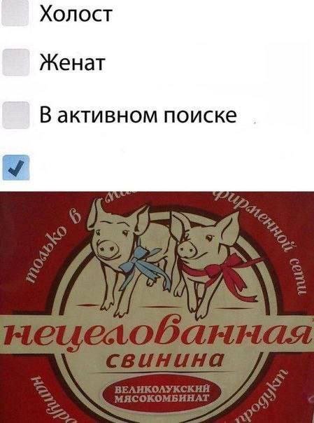 Смешные мемы - 15.10.2025