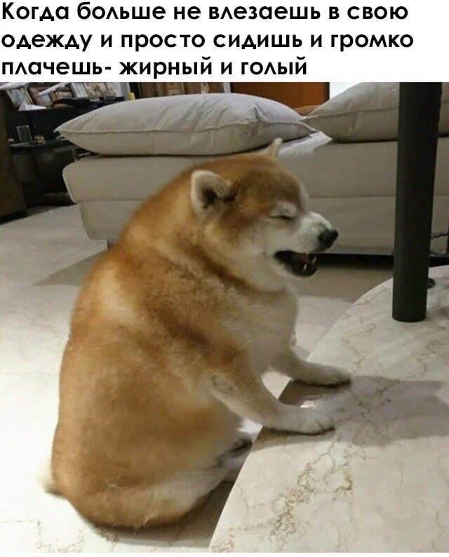 Смешные картинки - 15.10.2025