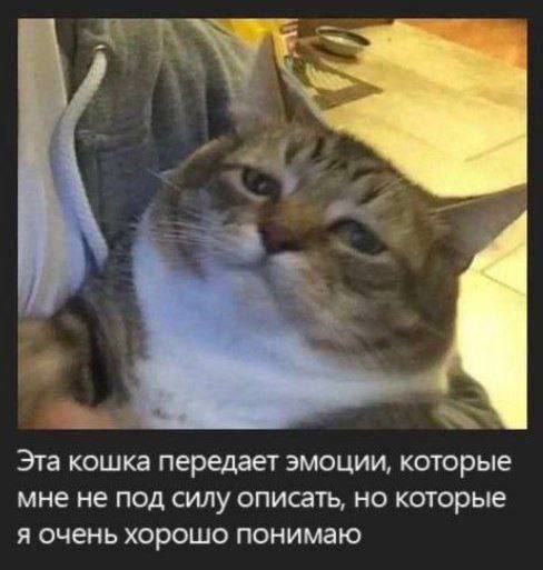 Смешные картинки - 15.10.2025