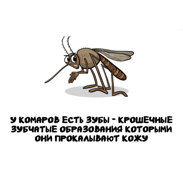 Интересные факты на все случаи жизни
