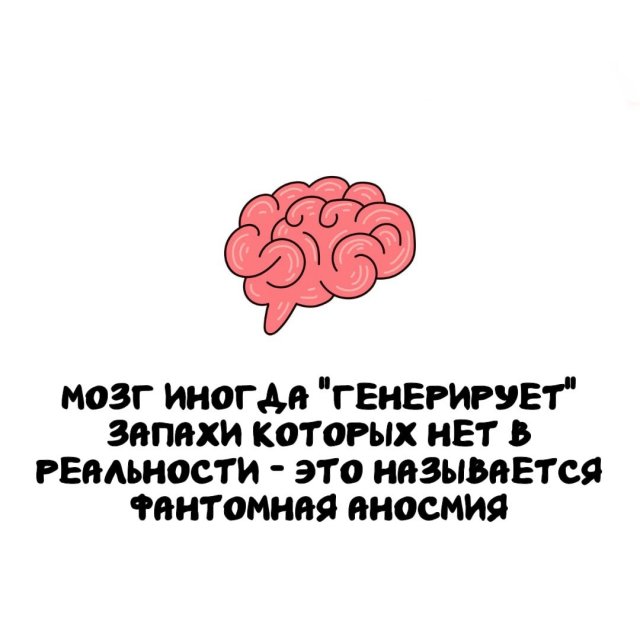 Интересные факты на все случаи жизни