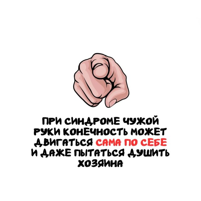 Интересные факты на все случаи жизни