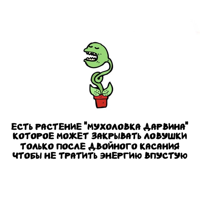 Интересные факты на все случаи жизни