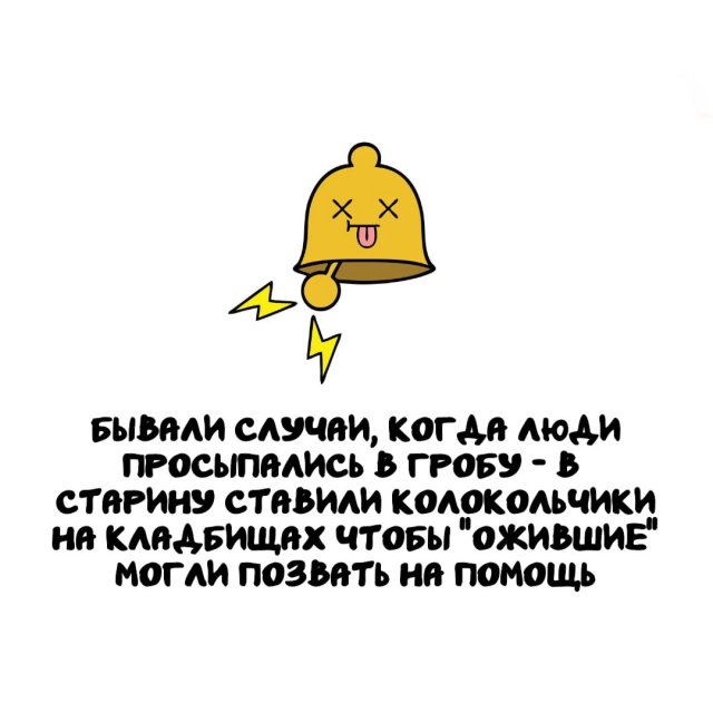 Интересные факты на все случаи жизни