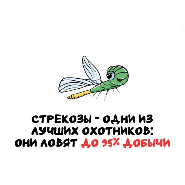 Интересные факты на все случаи жизни