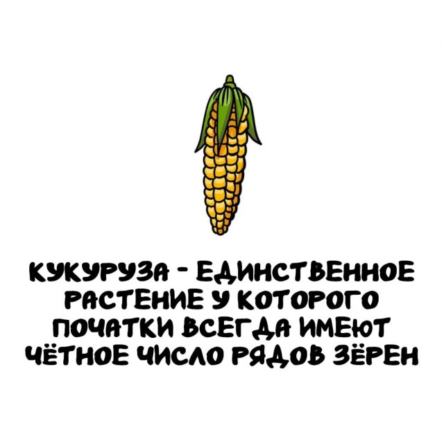 Интересные факты на все случаи жизни