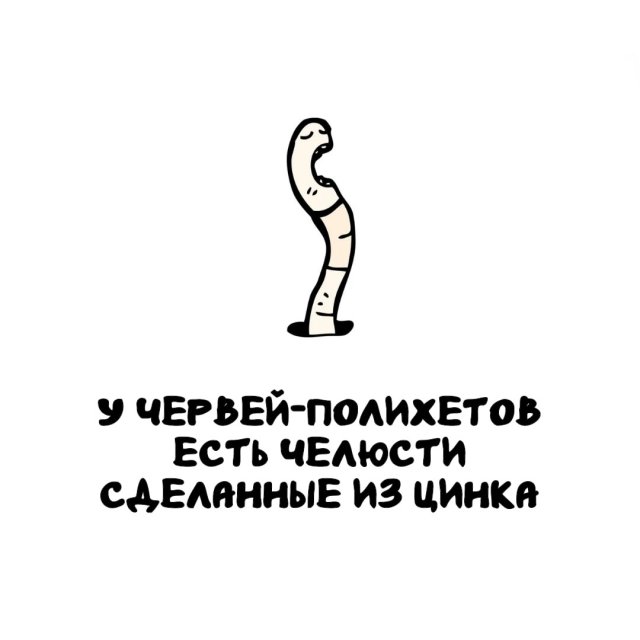 Интересные факты на все случаи жизни