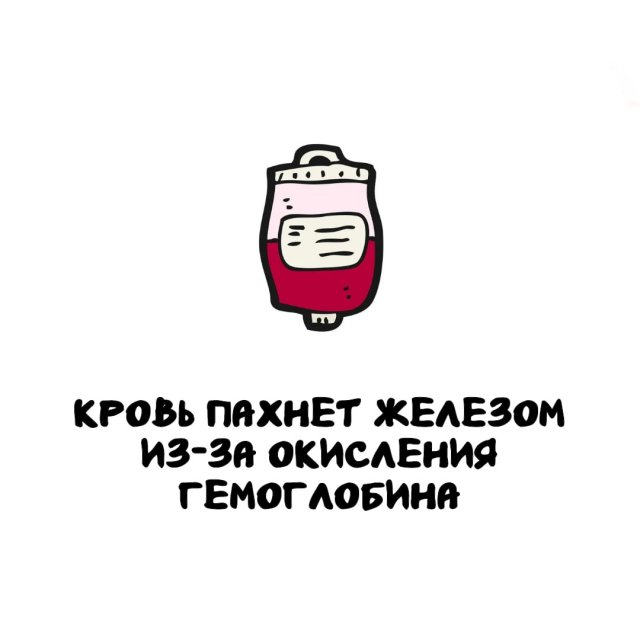 Интересные факты на все случаи жизни
