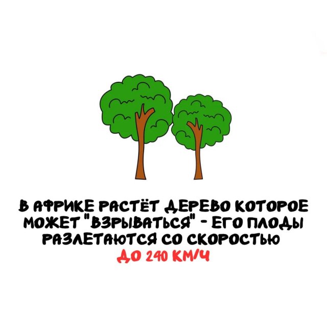 Интересные факты на все случаи жизни
