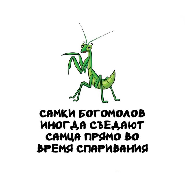 Интересные факты на все случаи жизни
