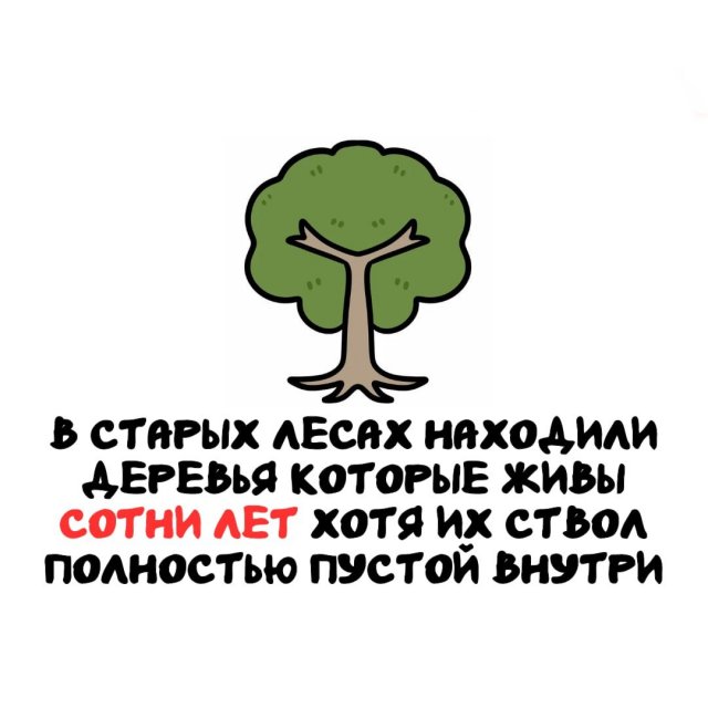 Интересные факты на все случаи жизни