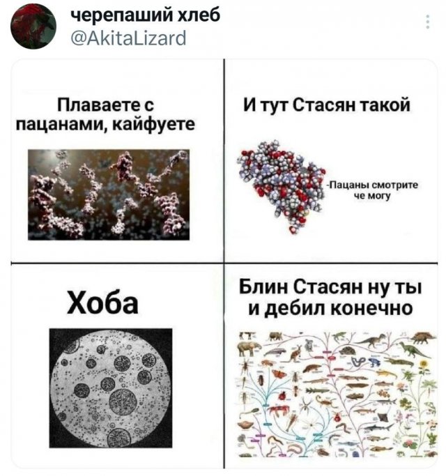 Подборка забавных твитов обо всем
