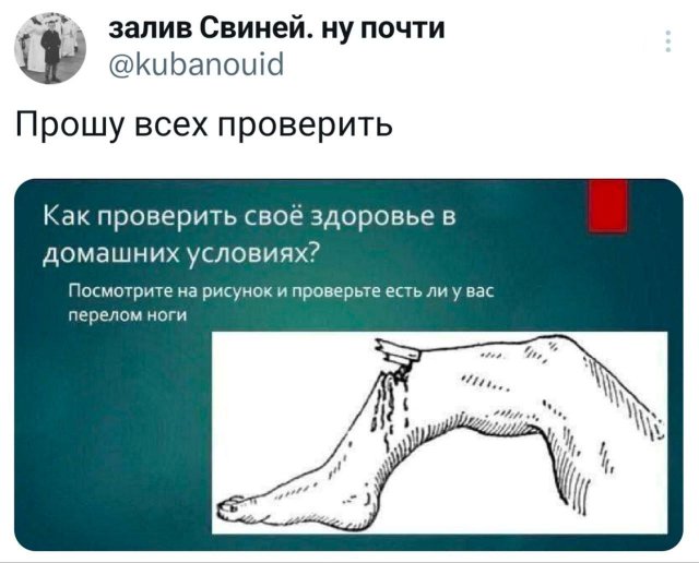 Подборка забавных твитов обо всем