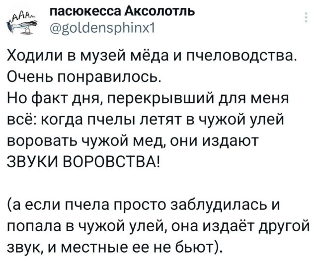 Подборка забавных твитов обо всем