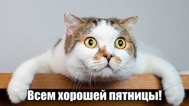Трынделка - 17.10.2025