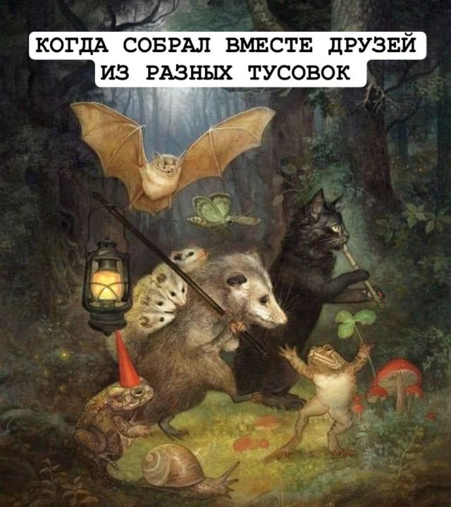 Смешные мемы - 17.10.2025