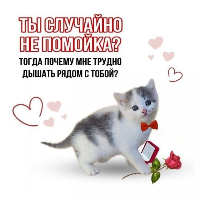 Смешные мемы - 17.10.2025