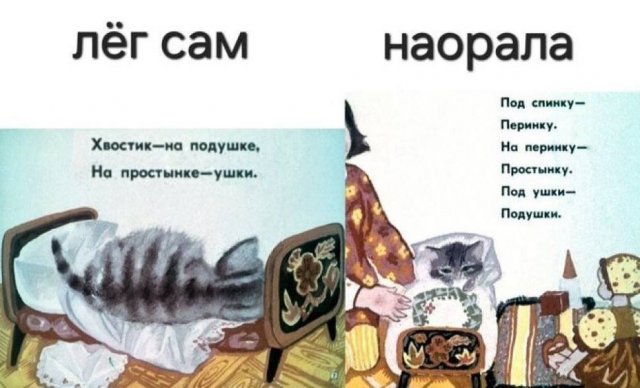 Смешные мемы - 17.10.2025