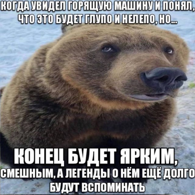 Смешные мемы - 17.10.2025