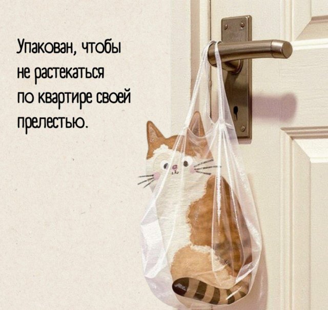 Смешные мемы - 17.10.2025