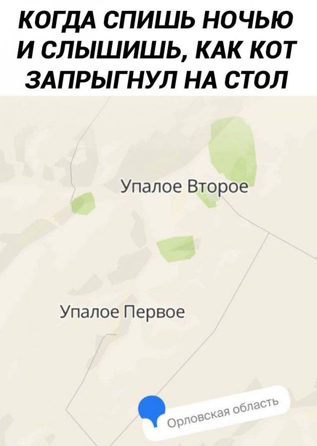 Смешные картинки - 17.10.2025