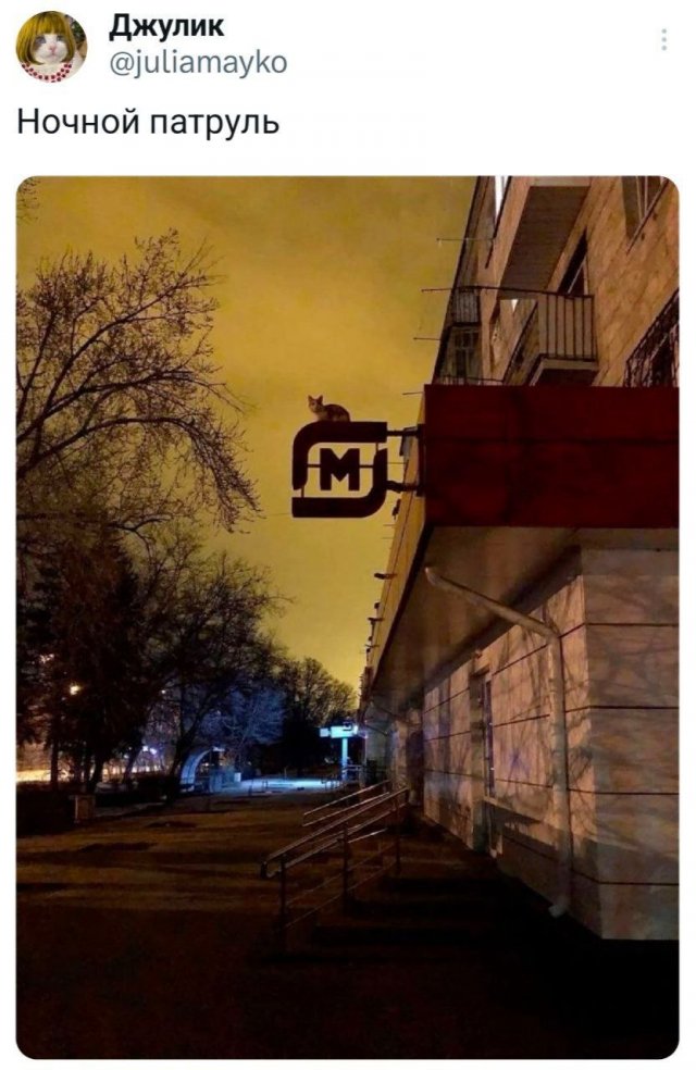 Подборка забавных твитов обо всем