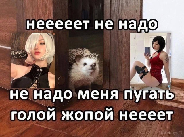 Мемы и картинки для взрослых