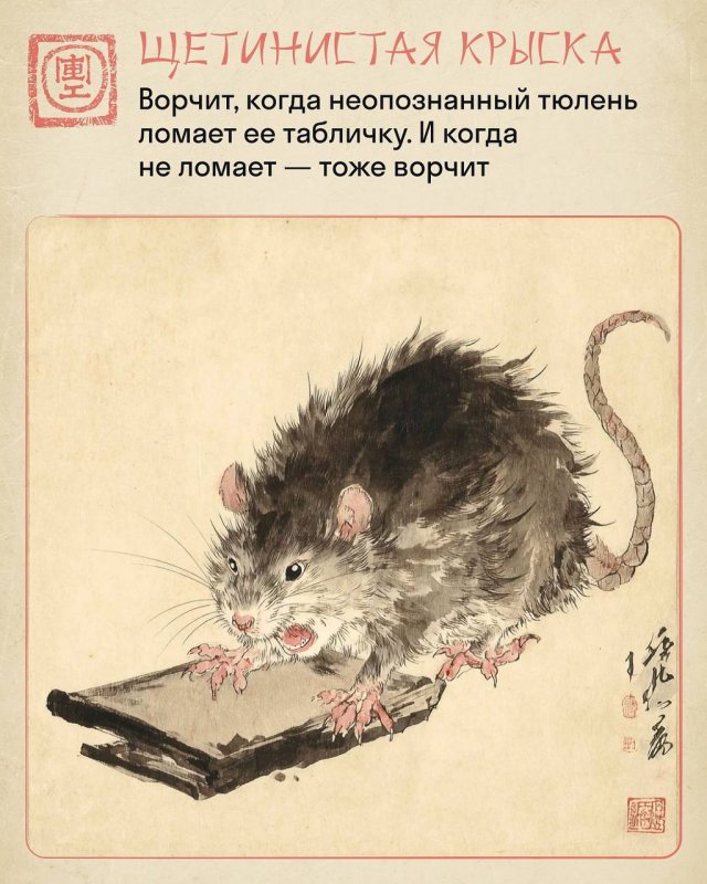 &quot;Крысиный коллектив&quot; в китайском стиле