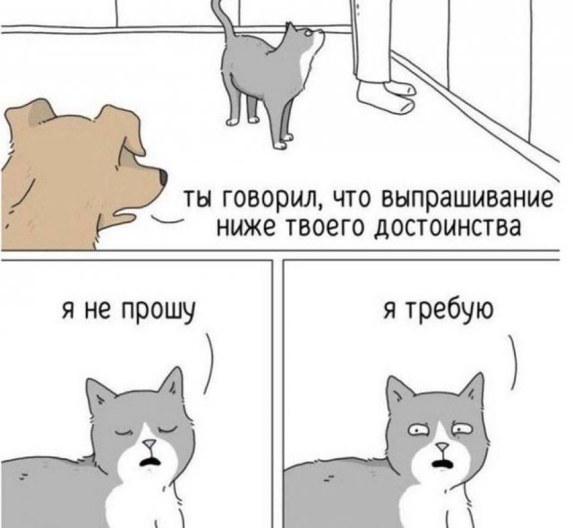 Лучшие шутки и мемы из Сети - 20.10.2025