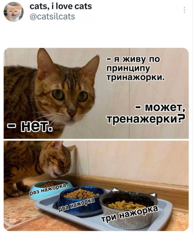 Подборка забавных твитов обо всем