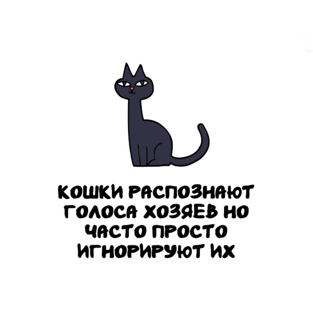 Интересные факты на все случаи жизни